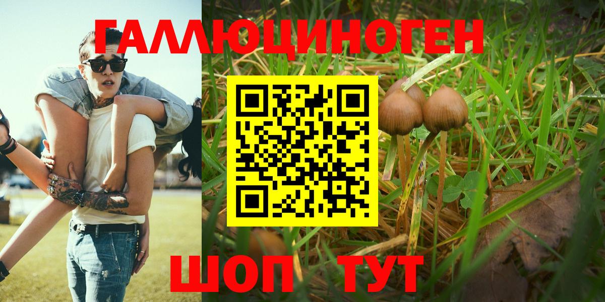 Галлюциногенные грибы Magic Shrooms  Вход с VPN  Псилоцибиновые грибы Magic Shrooms  Лабинск 